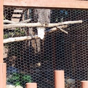 Photo submitted by Claudia