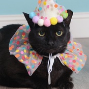 Photo submitted by Lexi