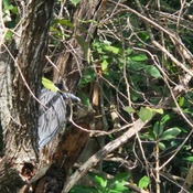 Photo submitted by Sebastian