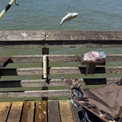 Photo submitted by Taylor