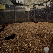 Photo submitted by Sofia