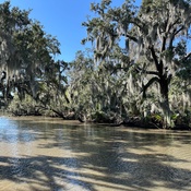 Photo submitted by Monica