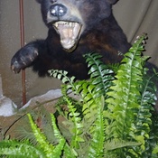 Photo submitted by Theresa