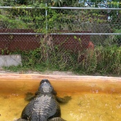 Photo submitted by Jamie