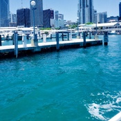 Photo submitted by Guest