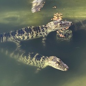 Photo submitted by elaine