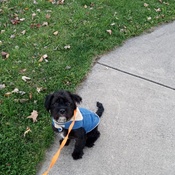 Photo submitted by Latisha