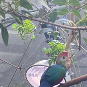 Photo submitted by Elvia