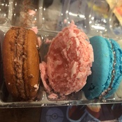 Photo submitted by Katherine