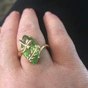 Photo submitted by Melody