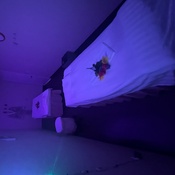 Photo submitted by STEPHANIE