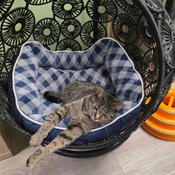 Photo submitted by Karen