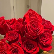 Photo submitted by rubin