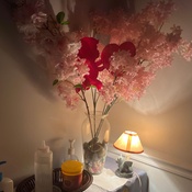 Photo submitted by lynsi