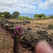 Photo submitted by Jennifer