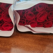 Photo submitted by Jennifer