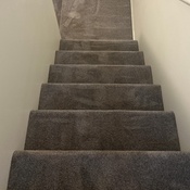 Photo submitted by Tina