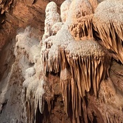 Photo submitted by Julian