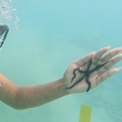 Photo submitted by Christina