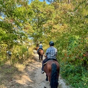 Photo submitted by Norris