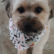 Photo submitted by Beth