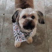 Photo submitted by Beth