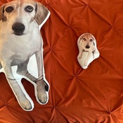 Photo submitted by Groupon