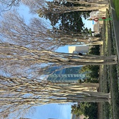 Photo submitted by Nicole