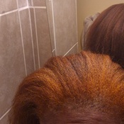 Photo submitted by regina