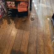 Photo submitted by Guest