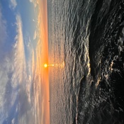 Photo submitted by Robin