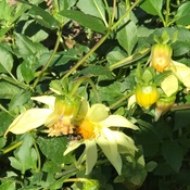 Photo submitted by Kim