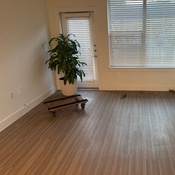 Photo submitted by MARVIN