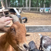 Photo submitted by pamela