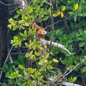 Photo submitted by Sebastian