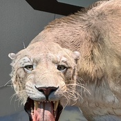 Photo submitted by Barb