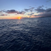 Photo submitted by emmaya