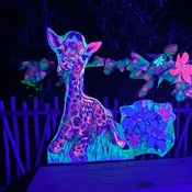 Photo submitted by Susan