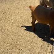 Photo submitted by Guest