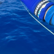 Photo submitted by Sammie