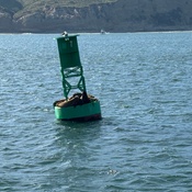 Photo submitted by Desmond