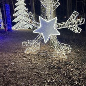 Photo submitted by Guest