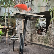 Photo submitted by Princess