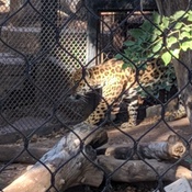 Photo submitted by David