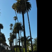 Photo submitted by Nicole