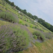 Photo submitted by Natalya