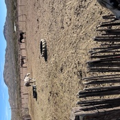 Photo submitted by Ryan