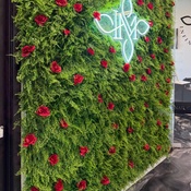 Photo submitted by Denequa