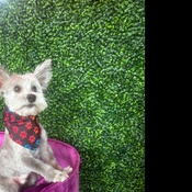 Photo submitted by Camin