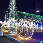 Photo submitted by TERRESSA